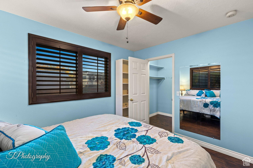 Bedroom with a walk in closet, a closet, ceiling fan, and dark wood-type flooring
