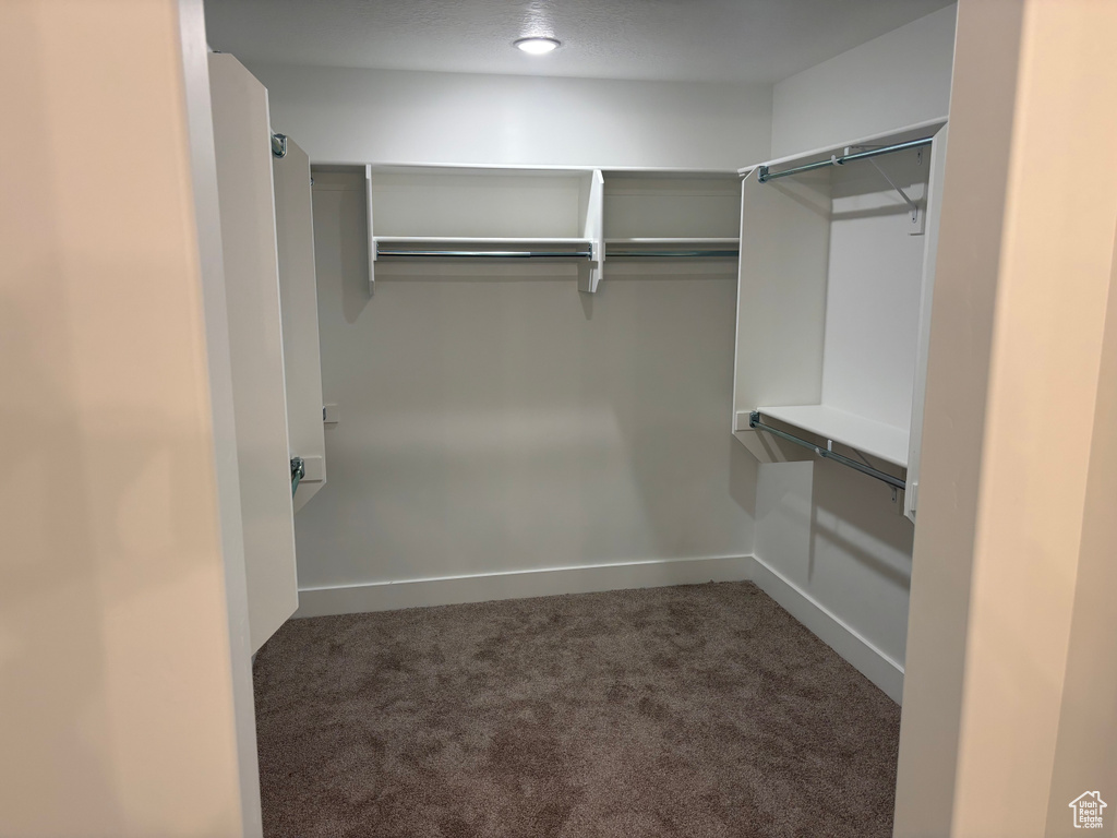 Spacious closet featuring dark colored carpet