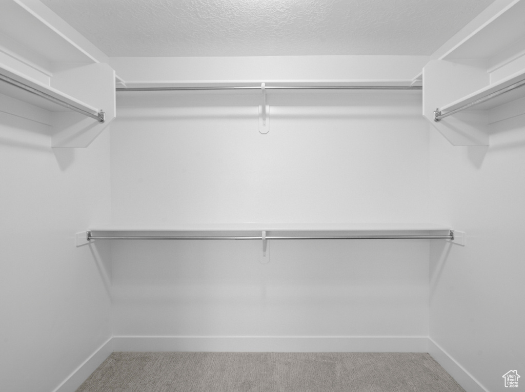 Spacious closet featuring carpet