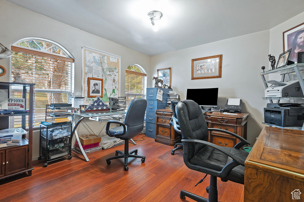 Office area with plenty of natural light and hardwood / wood-style flooring