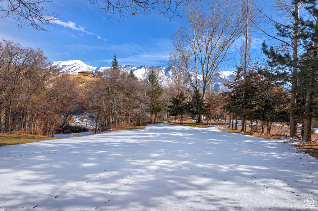 Snowy yard with a mountain view