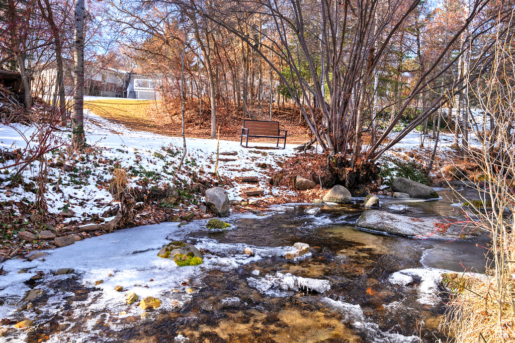 View of yard covered in snow