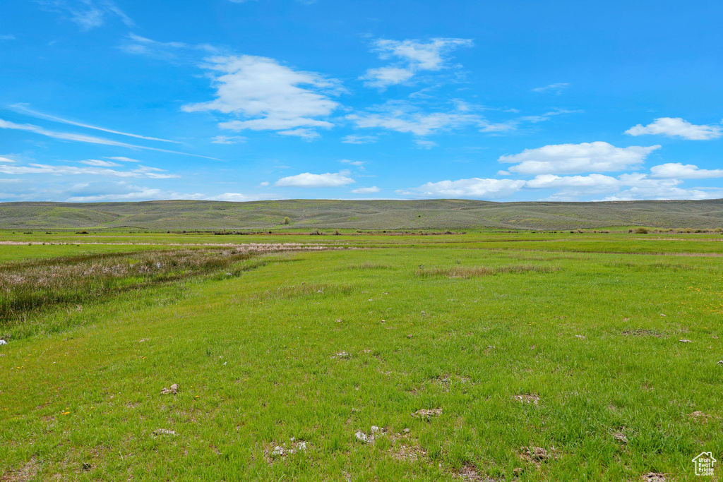 Overview of rural landscape