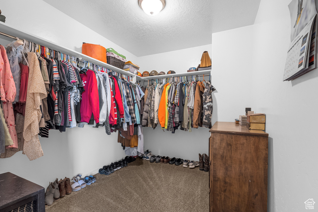 Walk in closet with carpet floors
