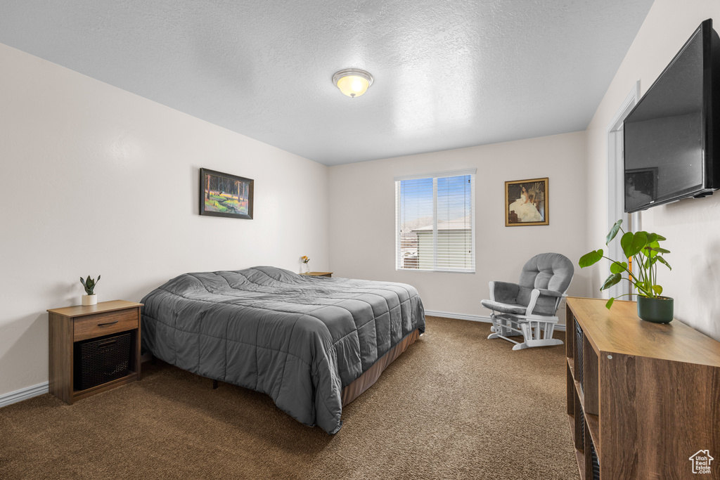 Carpeted bedroom featuring a textured ceiling