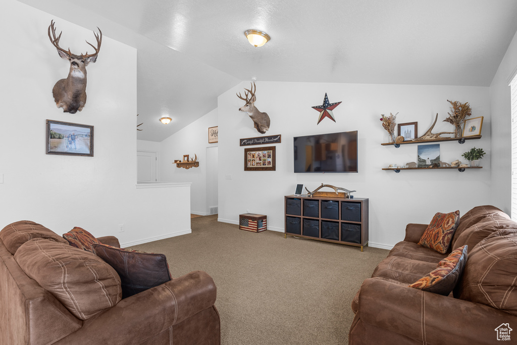 Carpeted living room featuring vaulted ceiling