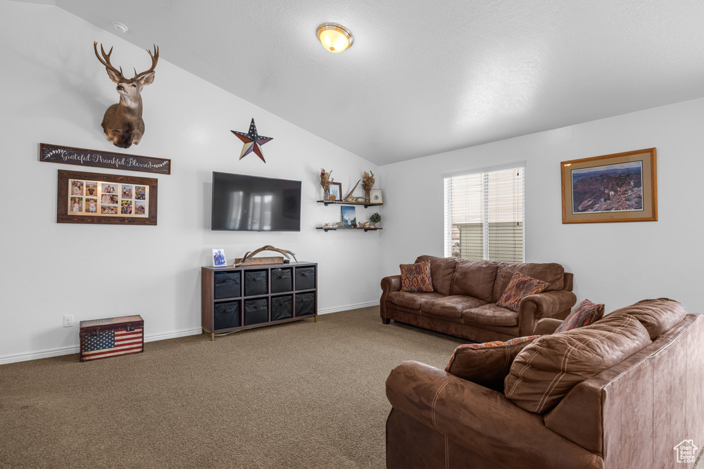 Living room featuring lofted ceiling and carpet flooring