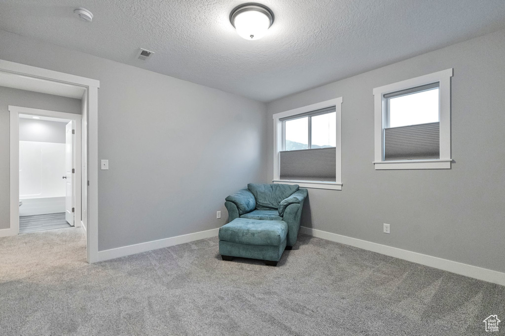 Living area with light colored carpet and a textured ceiling