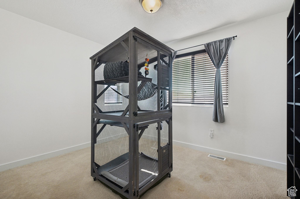 Exercise room with light colored carpet