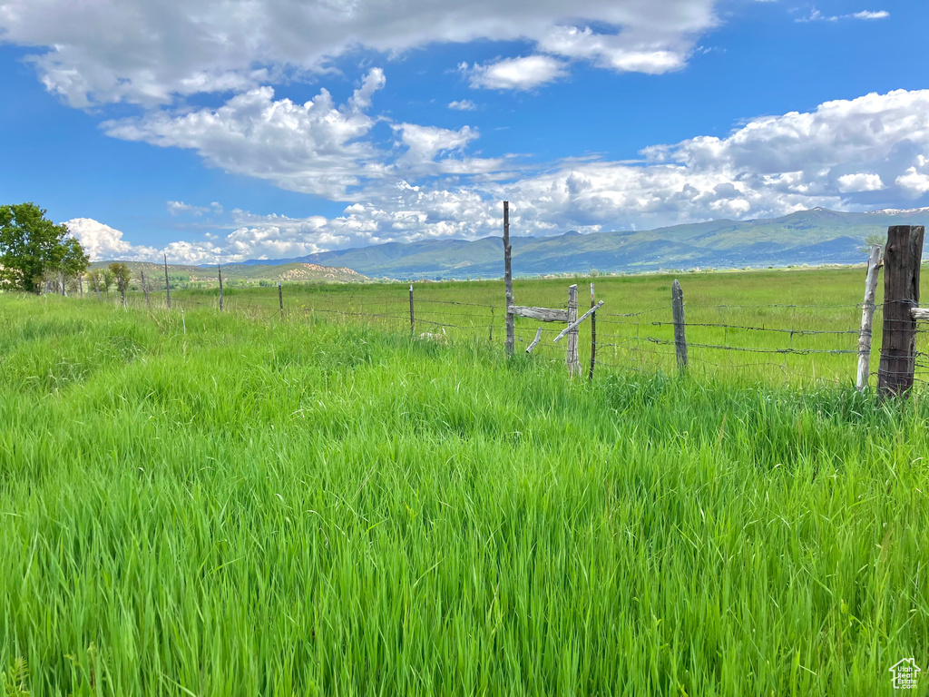 View of yard with a mountain view and a rural view