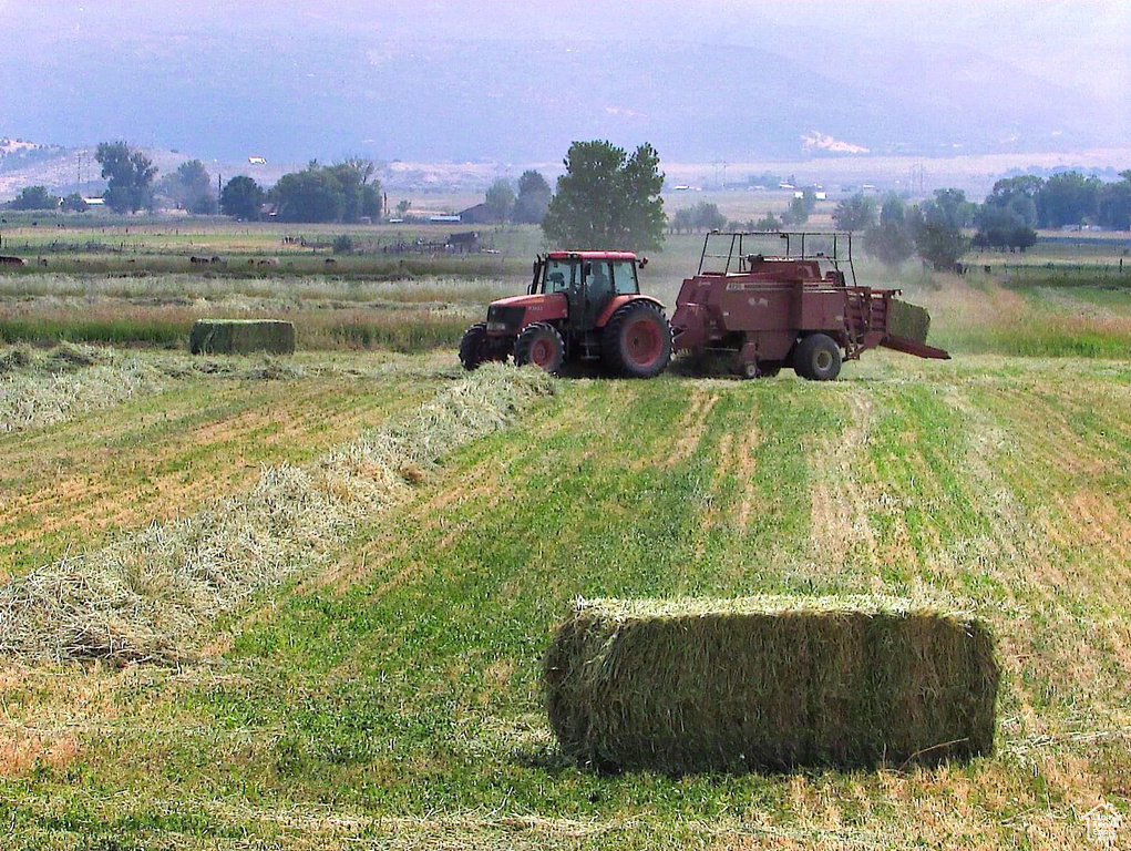 View of yard featuring a rural view