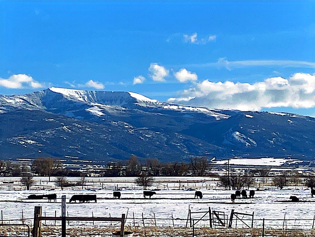 Property view of mountains featuring a rural view