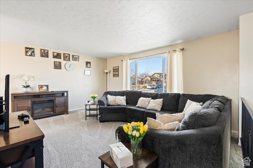 Living room featuring a textured ceiling and light carpet