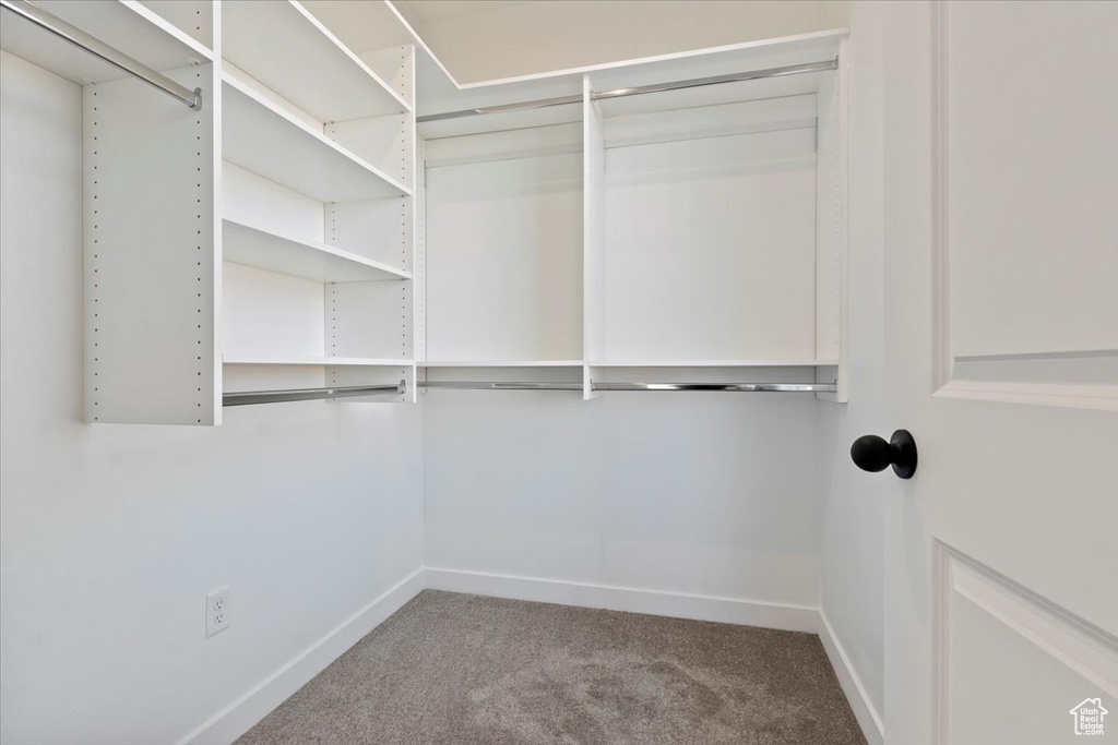 Walk in closet with carpet floors