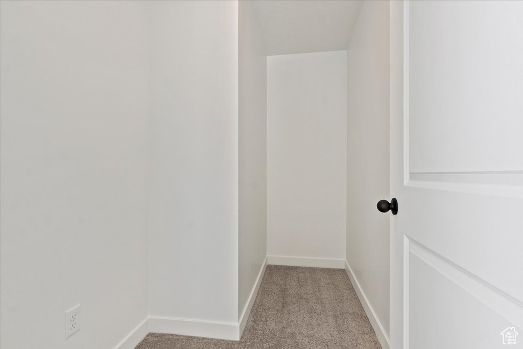 Walk in closet with light colored carpet
