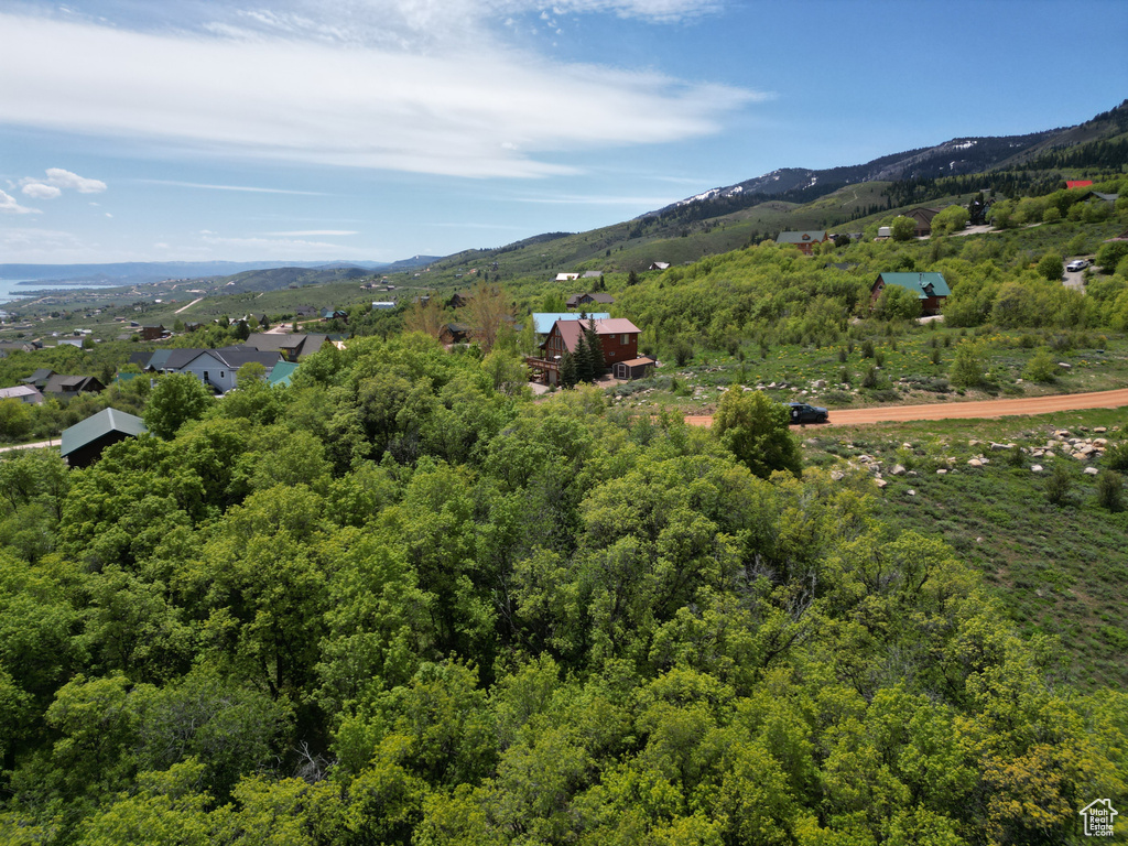 View of mountain background