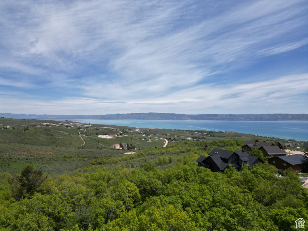 Drone / aerial view of a large body of water and a forest