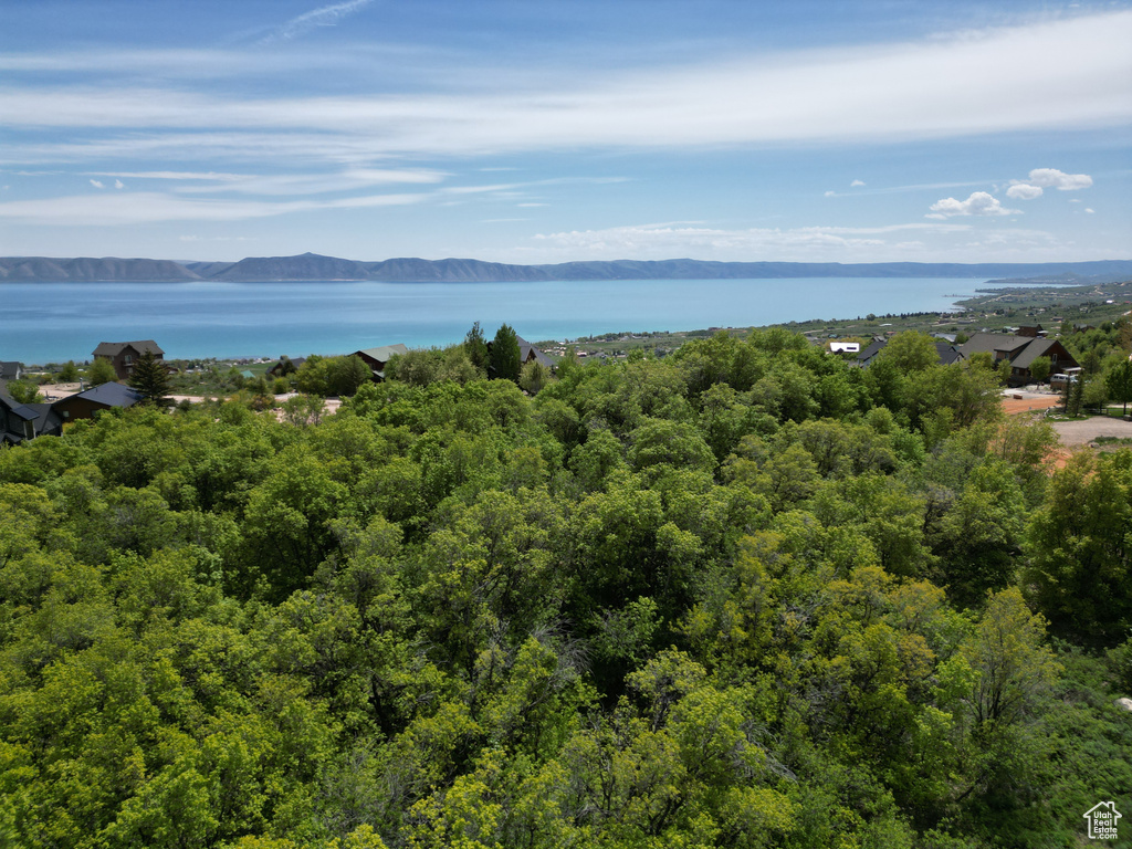 Bird's eye view of a water and mountain view and a heavily wooded area