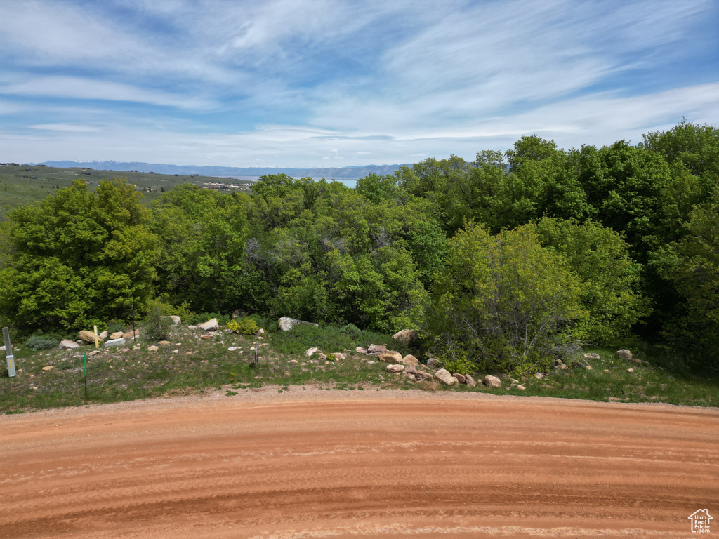 View of mountain backdrop featuring a heavily wooded area