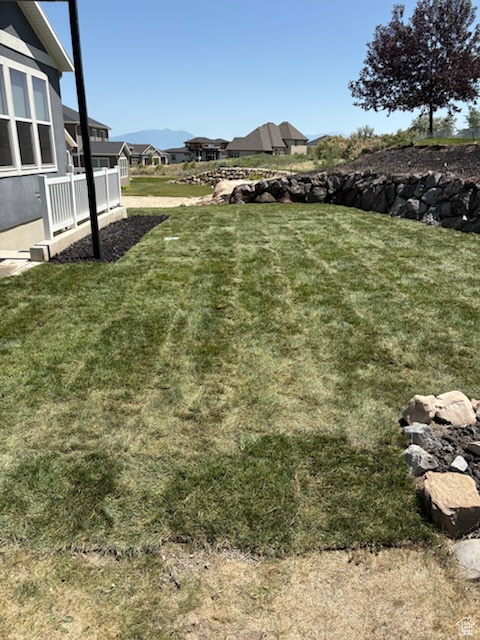 View of grassy yard