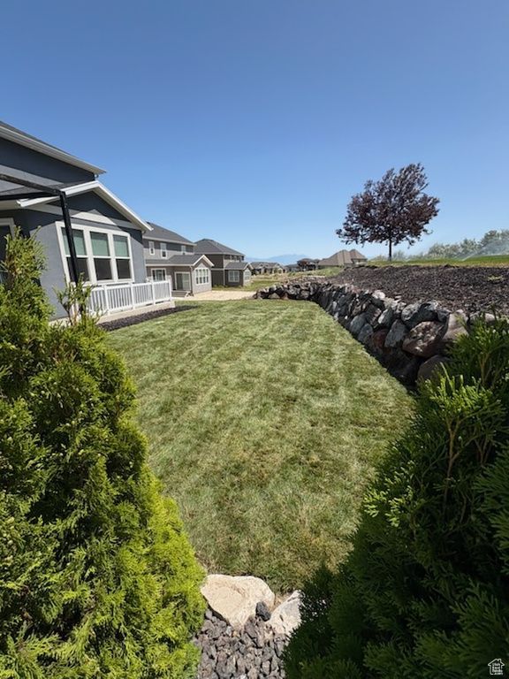 View of grassy yard