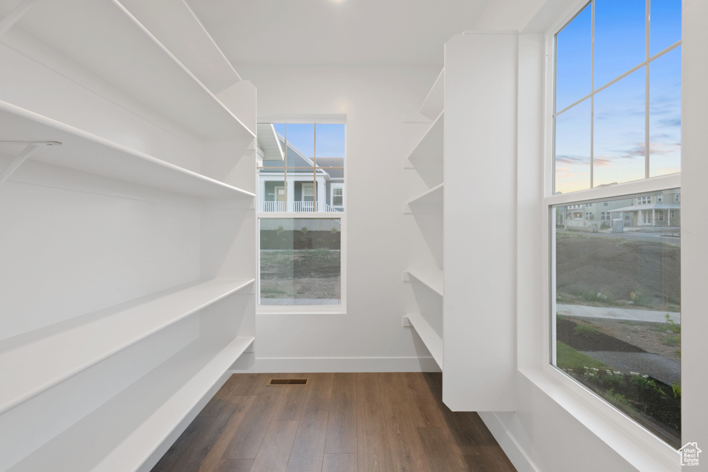 Spacious closet with dark wood finished floors