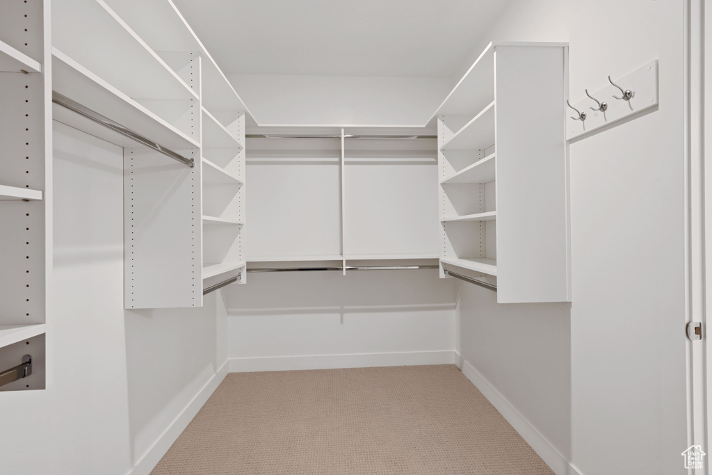 Spacious closet with light carpet