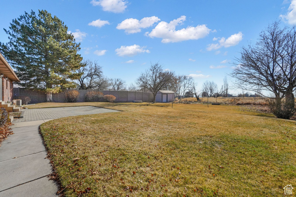 View of yard featuring a patio area and a shed