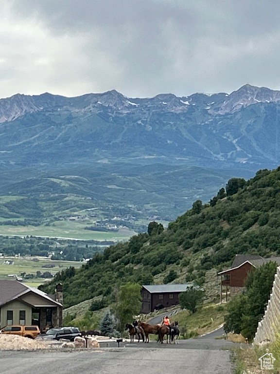 Mountain view