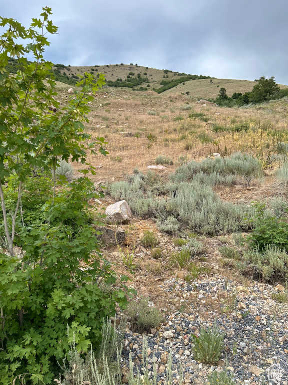 View of mountain background