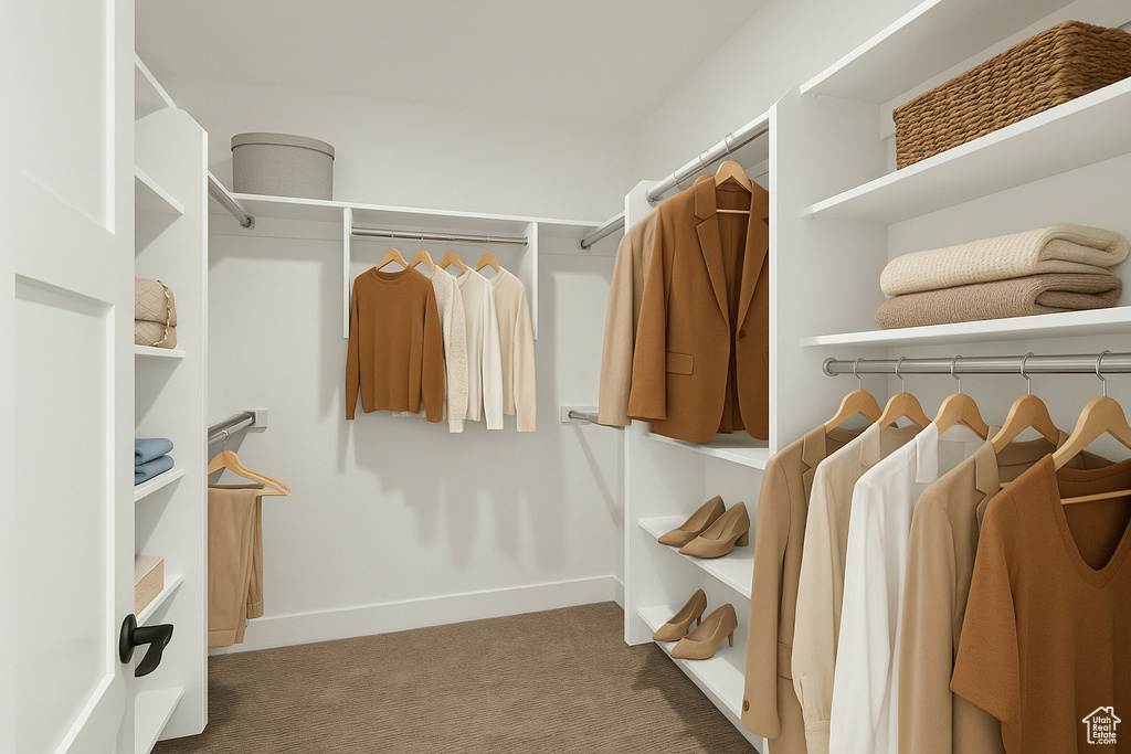 Walk in closet featuring carpet floors