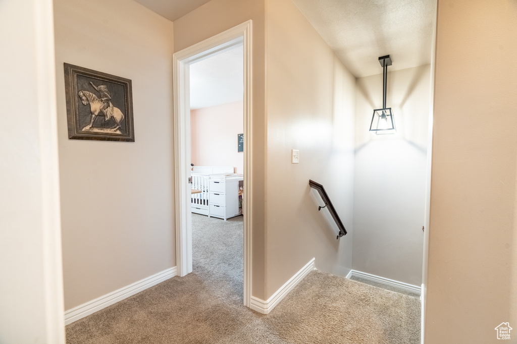 Stairway with baseboards and carpet flooring