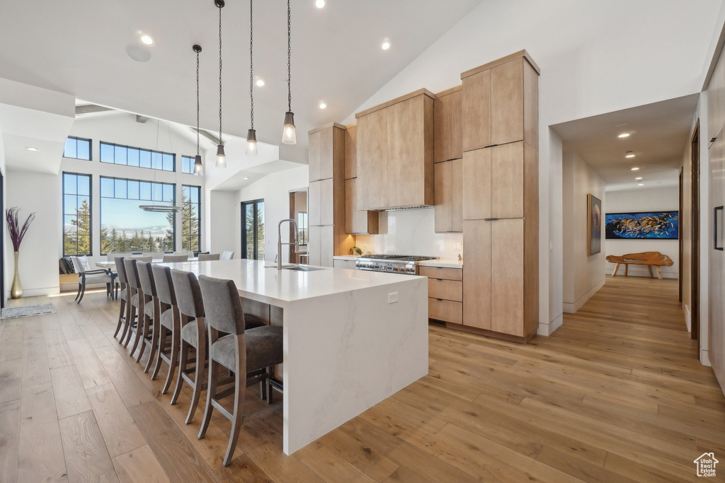 Kitchen featuring modern cabinets, a sink, high vaulted ceiling, a large island, and a breakfast bar area