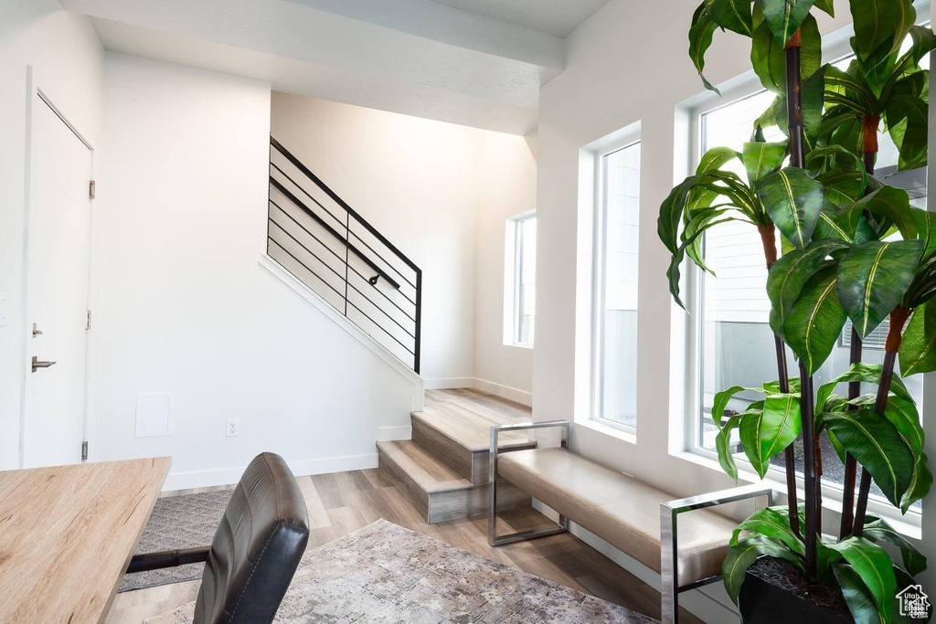 Stairs with hardwood / wood-style flooring