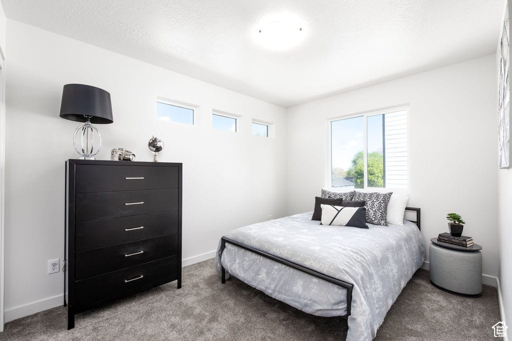 Carpeted bedroom with multiple windows