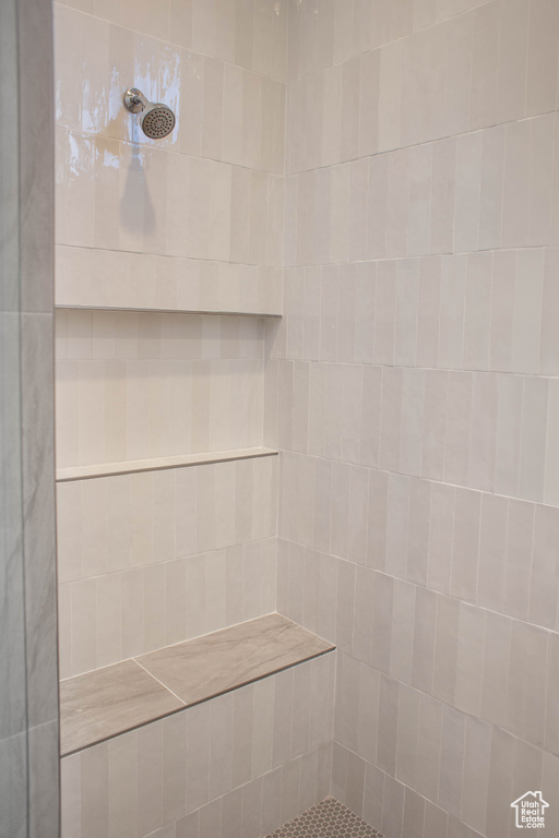 Interior details with a tile shower