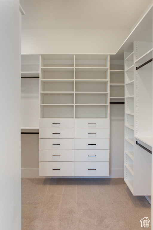 Spacious closet featuring light colored carpet