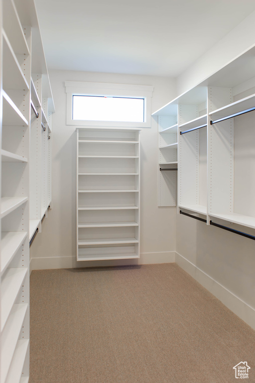 Walk in closet featuring carpet