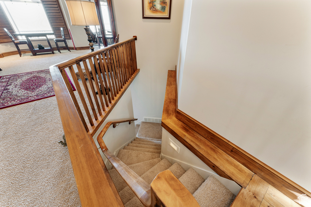 Staircase featuring carpet floors