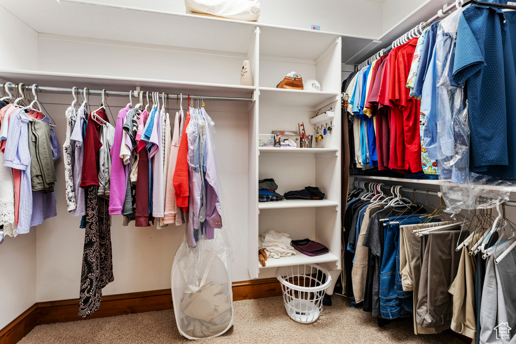 Spacious closet with carpet floors