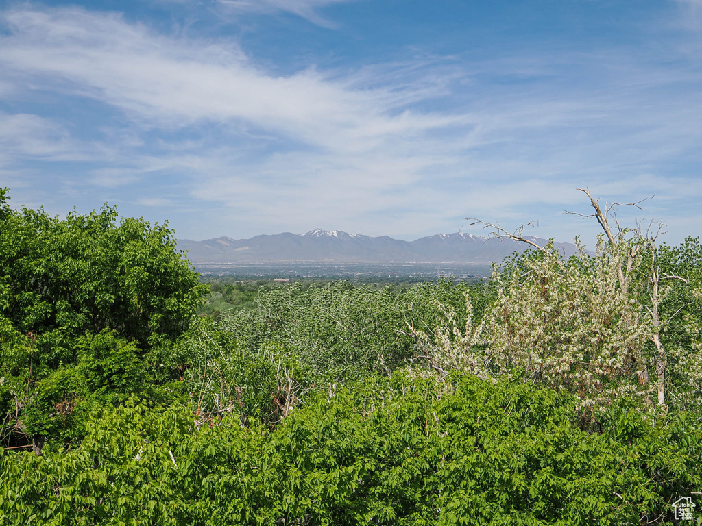 View of mountain backdrop