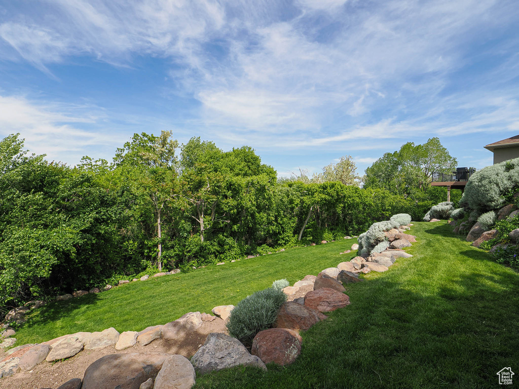 View of grassy yard