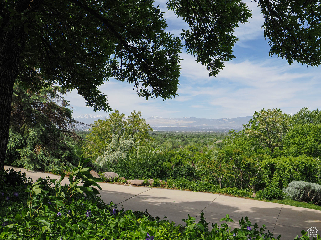 View of mountain backdrop featuring a heavily wooded area