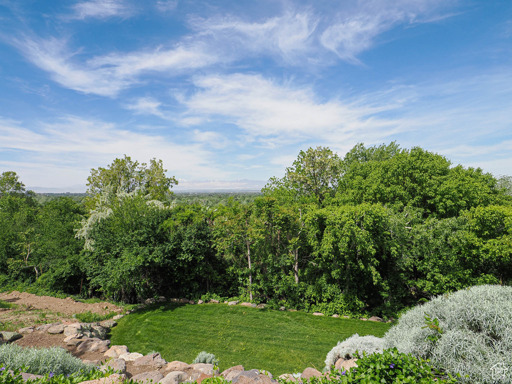 View of grassy yard featuring a forest view