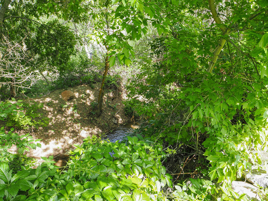 View of undeveloped land