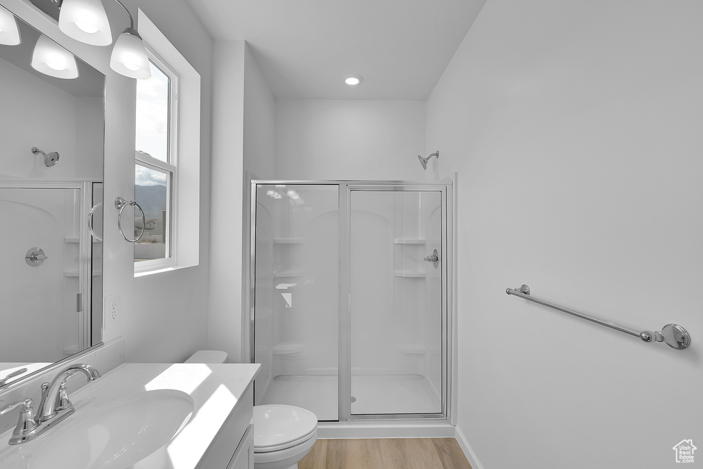 Full bath featuring a stall shower, vanity, wood finished floors, and toilet