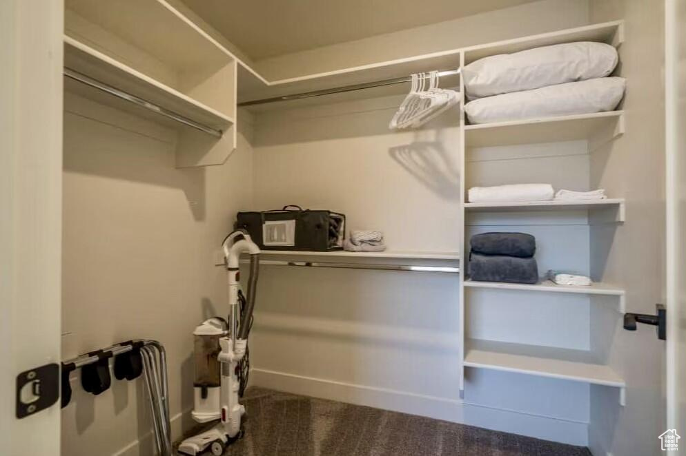 Spacious closet with carpet floors