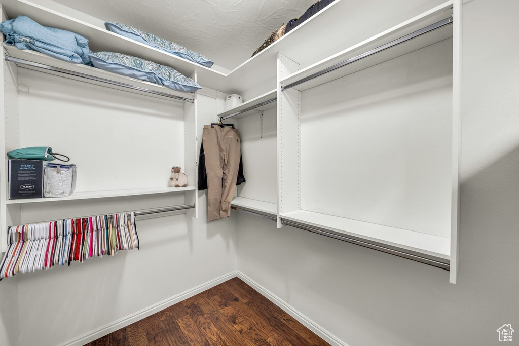 Walk in closet with dark hardwood / wood-style flooring