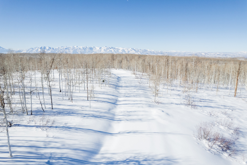 503 N TRAPPERS RD Heber City, UT 84032