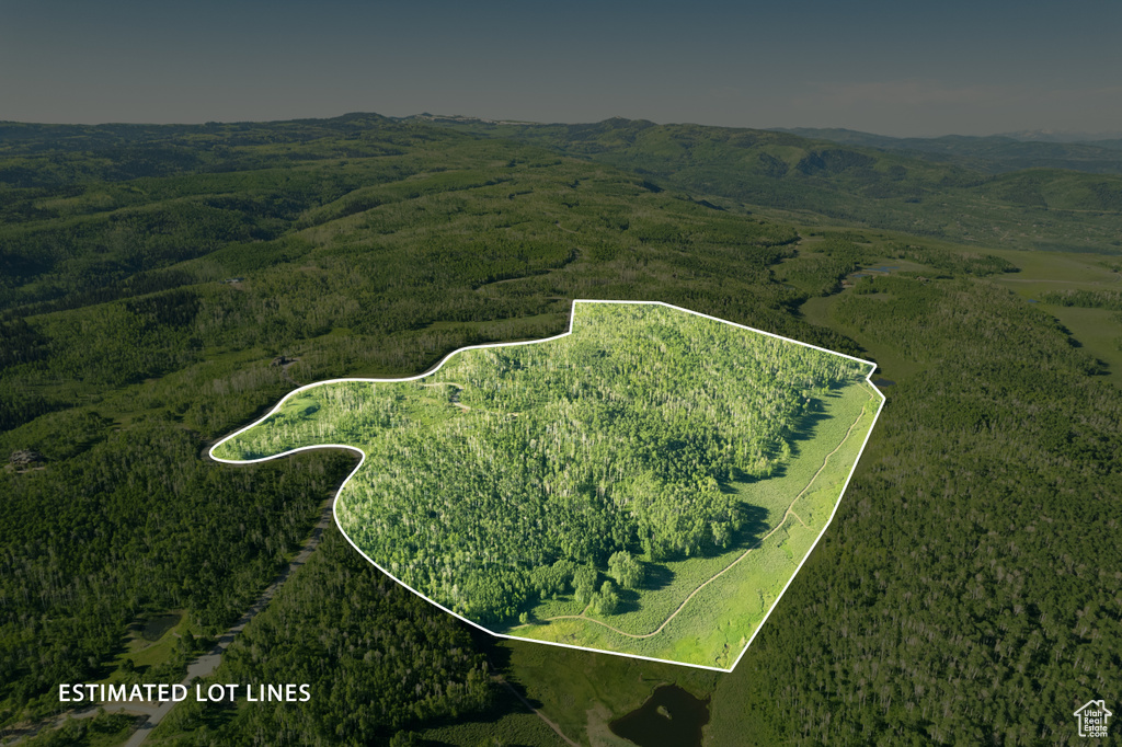 Aerial overview of property\'s location featuring property boundaries highlighted and a heavily wooded area